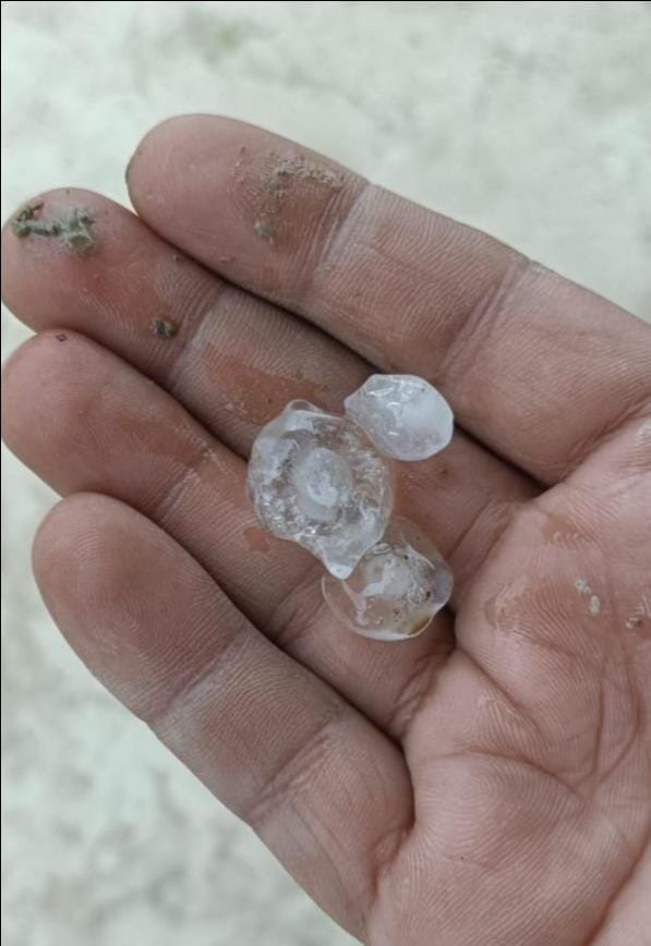 Drizzle accompanied by strong winds brings relief from the heat