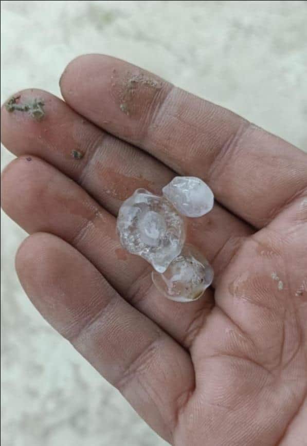 सिंगरामऊ क्षेत्र में पड़ी बिनौरी। संवाद