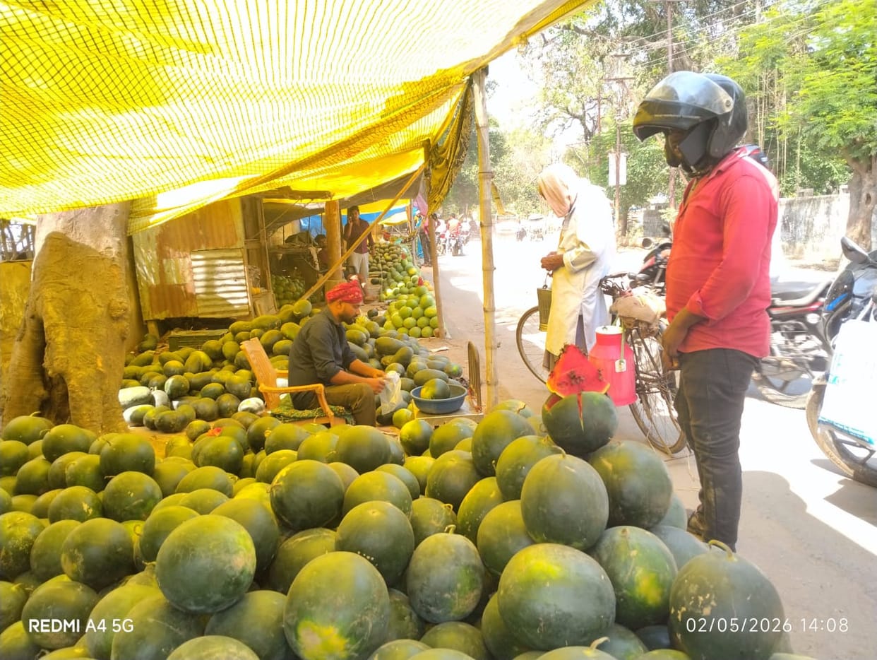 Black Watermelons Take Mirzapur by Storm