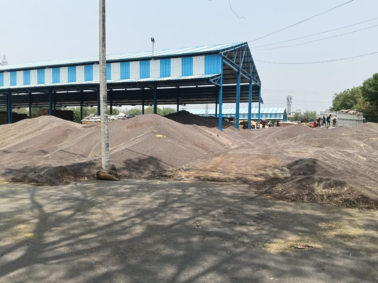 Mustard arrivals fell short of the target by 10 lakh quintals, reaching only 2.19 lakh quintals.