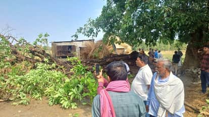 Tree Branch Falls on Hut During Storm; Farmer Dies, Four Injured