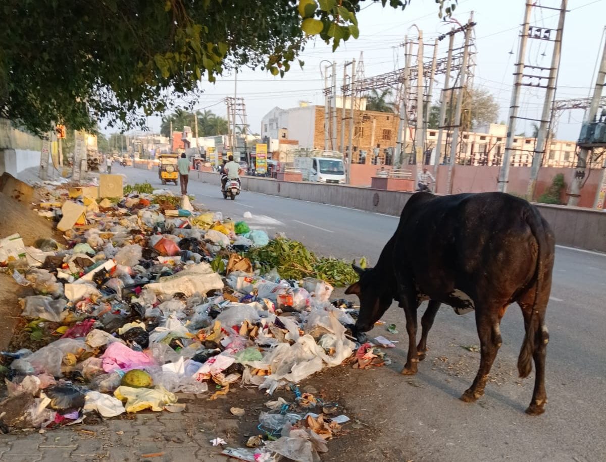 Sanitation System Paralyzed by Strike; 400 Tons of Garbage Piles Up in City