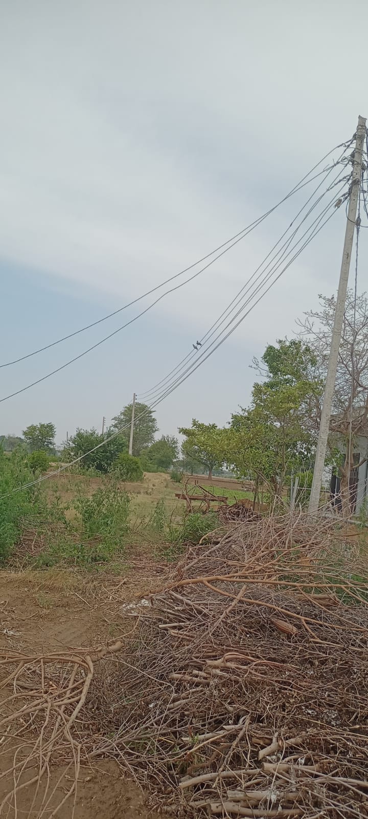 Storm wreaks havoc: 15 poles of Power House Bahu collapse, power supply disrupted