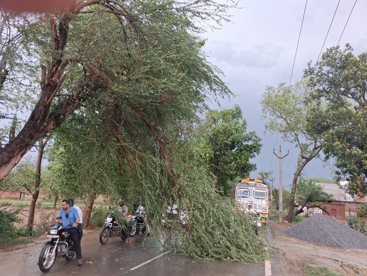 Darkness prevailed during the day, more than 26 trees and 30 poles were uprooted due to storm and rain.