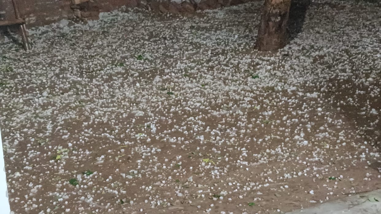 Hail fell along with rain, a feeling of coolness in the air due to falling temperatures, 1450 trees were broken by the storm, 54 transformers and 444 poles were toppled