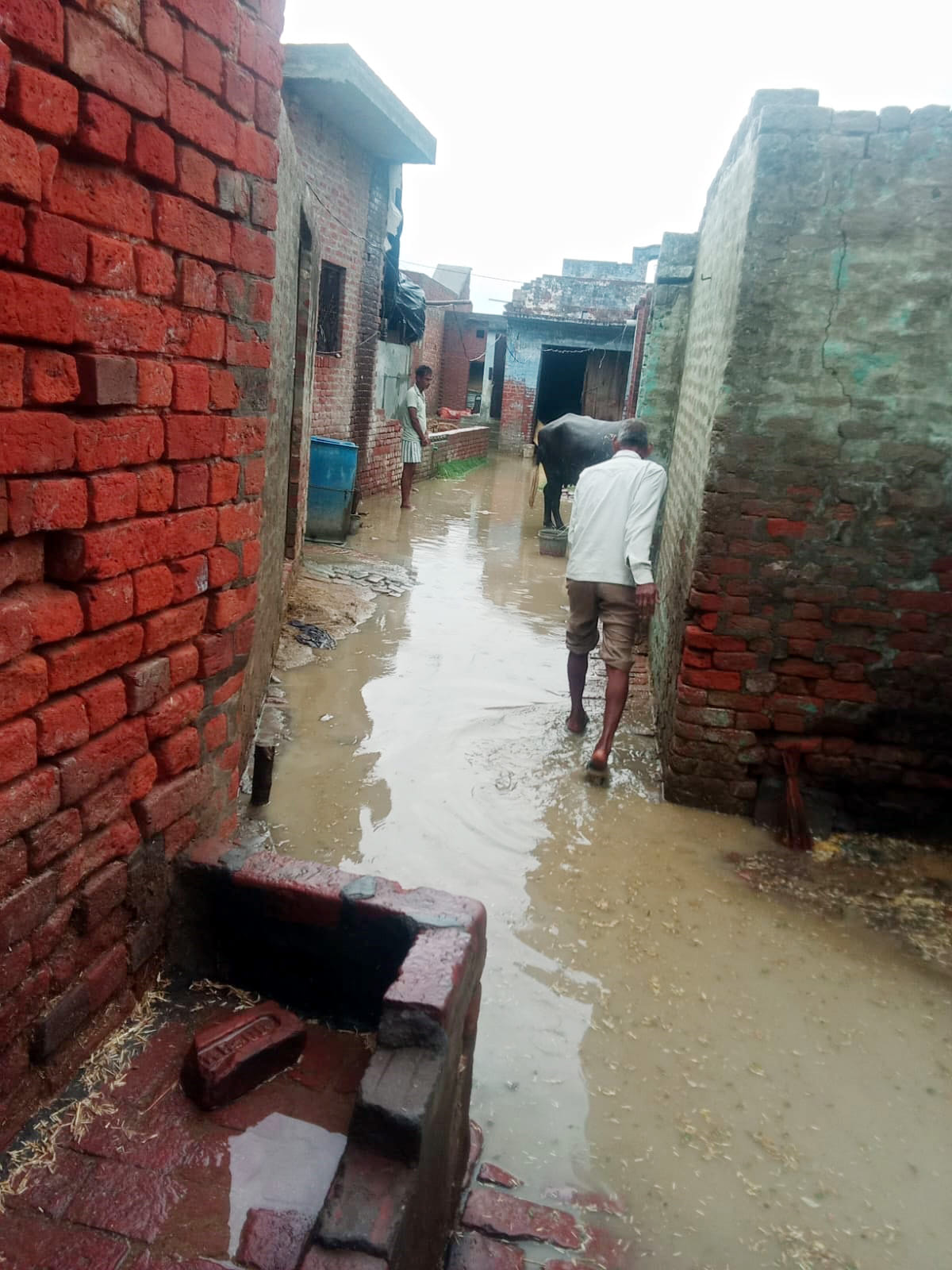 Trees Uprooted in Several Areas Due to Storm and Rain; Waterlogging and Power Outages Reported