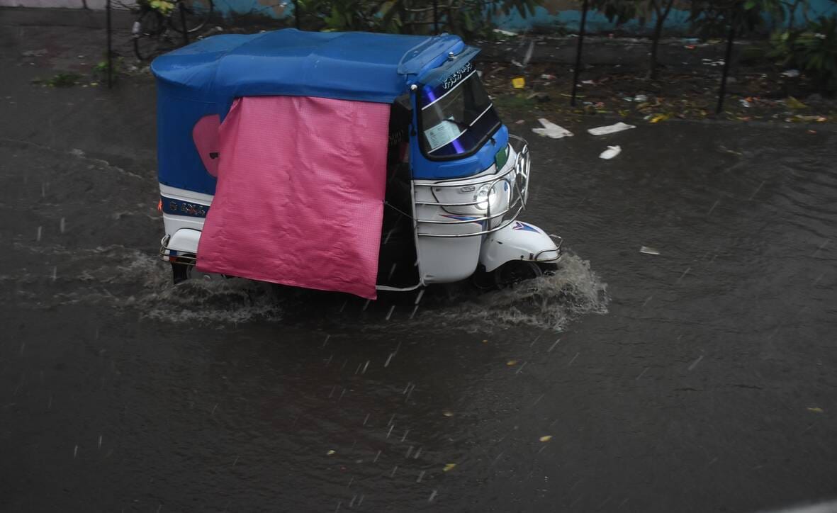 Trees fell in more than 30 places, waterlogging