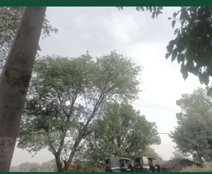Unseasonal rains bring relief from the heat, raising concerns for farmers