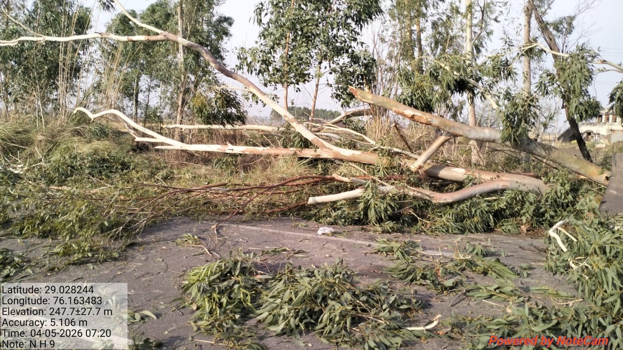 Hundreds of trees fell, electric poles were broken and solar panels were damaged.