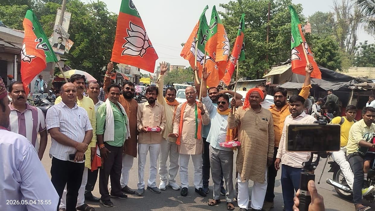 BJP workers celebrated the lotus blooming in three states