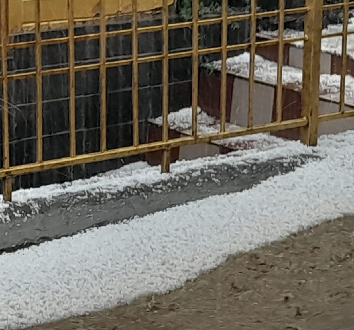 In the Karsog area, hail fell on fields and orchards, leaving a thick layer of debris.