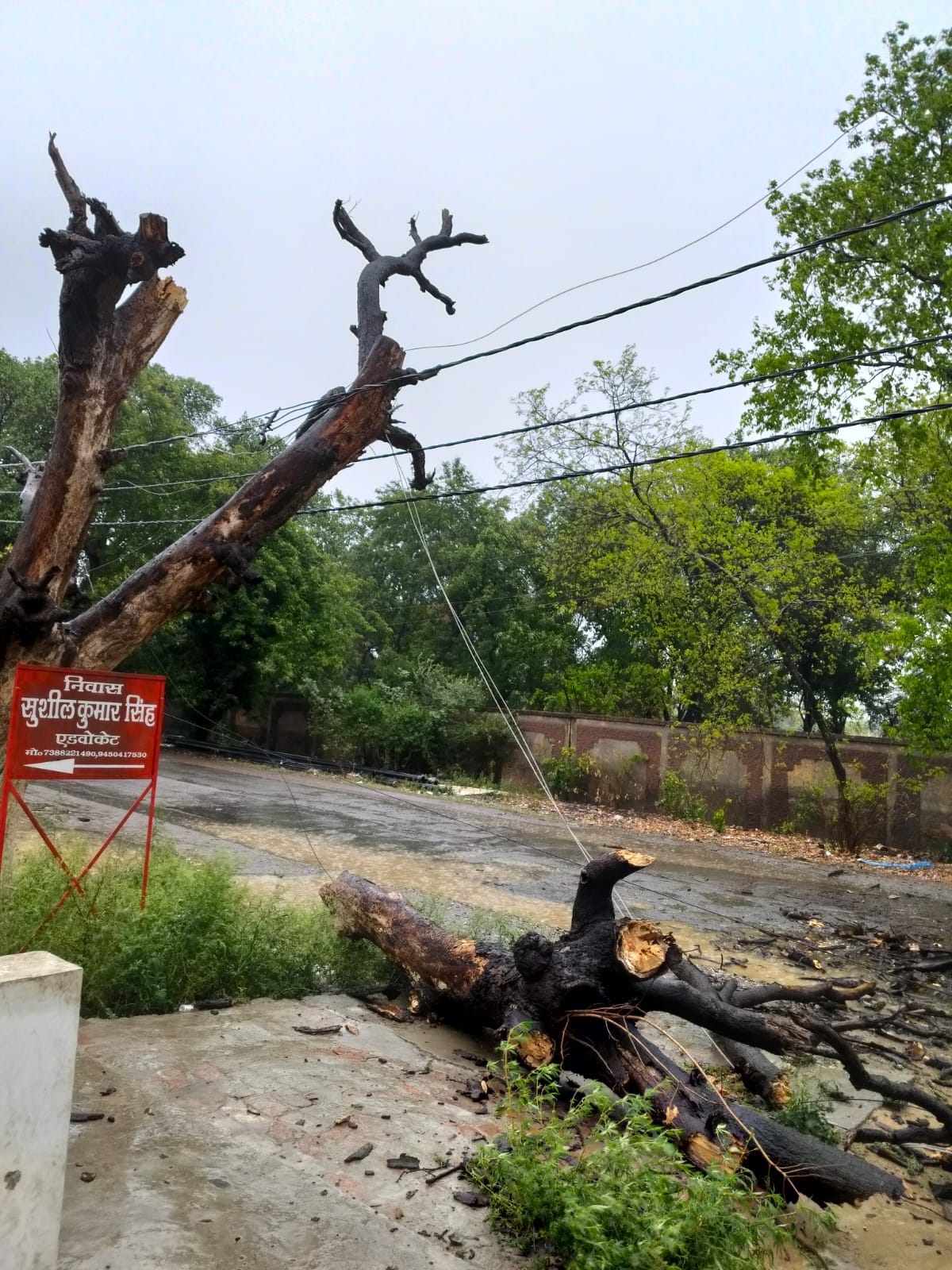 Poles Topple, Lines Snap Amidst Storm and Rain; Power Outage Caused by Burst Insulators