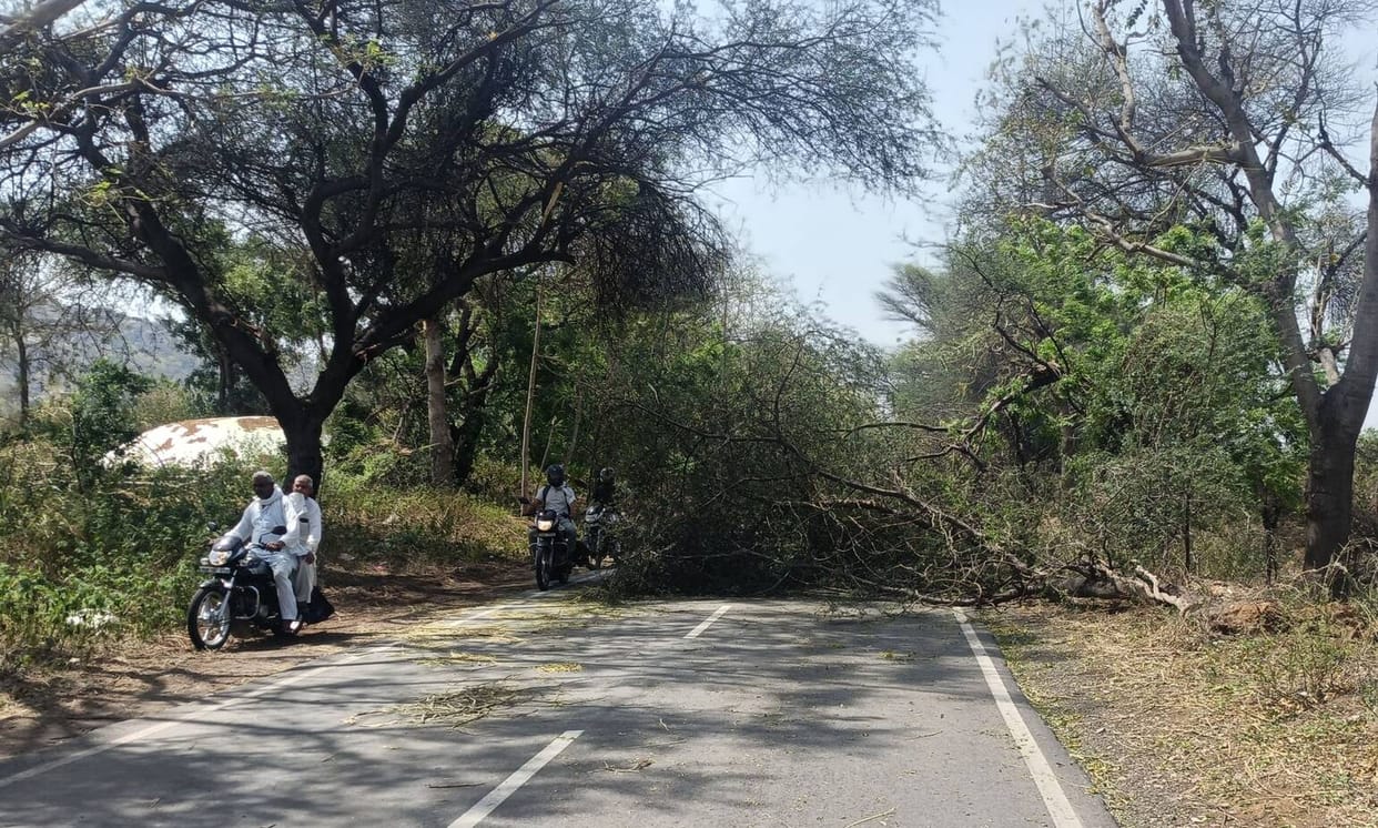 Storm and rain wreak havoc, 250 poles fell, 450 trees uprooted, main road blocked