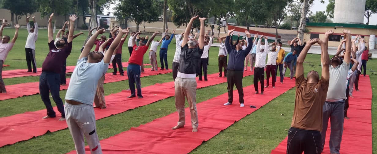 आयुष विभाग की ओर से जिला कारागार में योग करते कैदी और बंदी। स्वयं