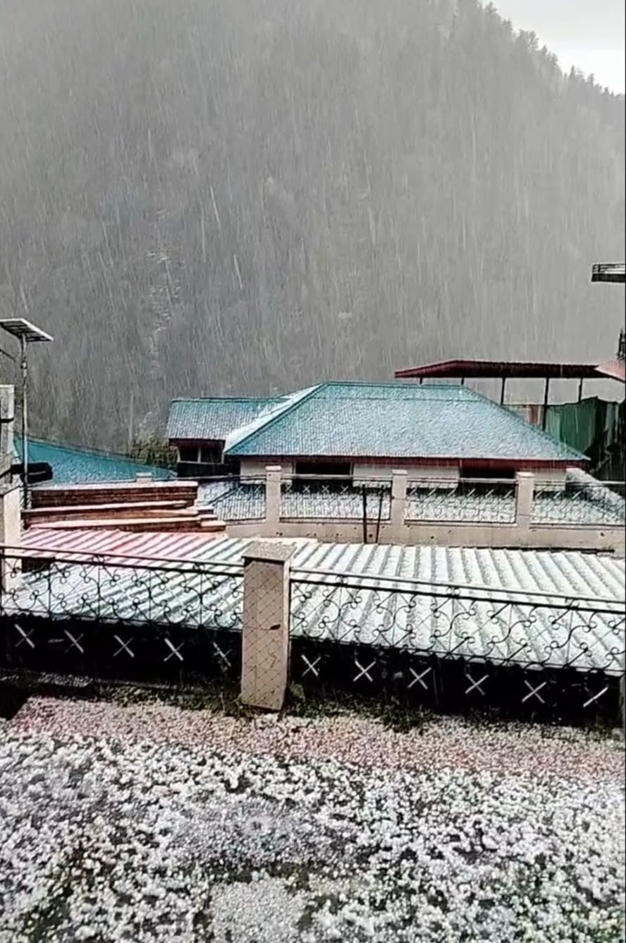 Hailstorm wreaked havoc in several areas of Rampur and Ani