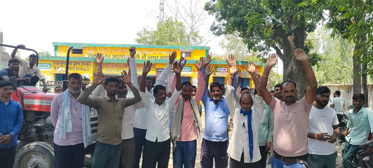 Farmers are wandering around committees to apply urea fertilizer to sugarcane crops.