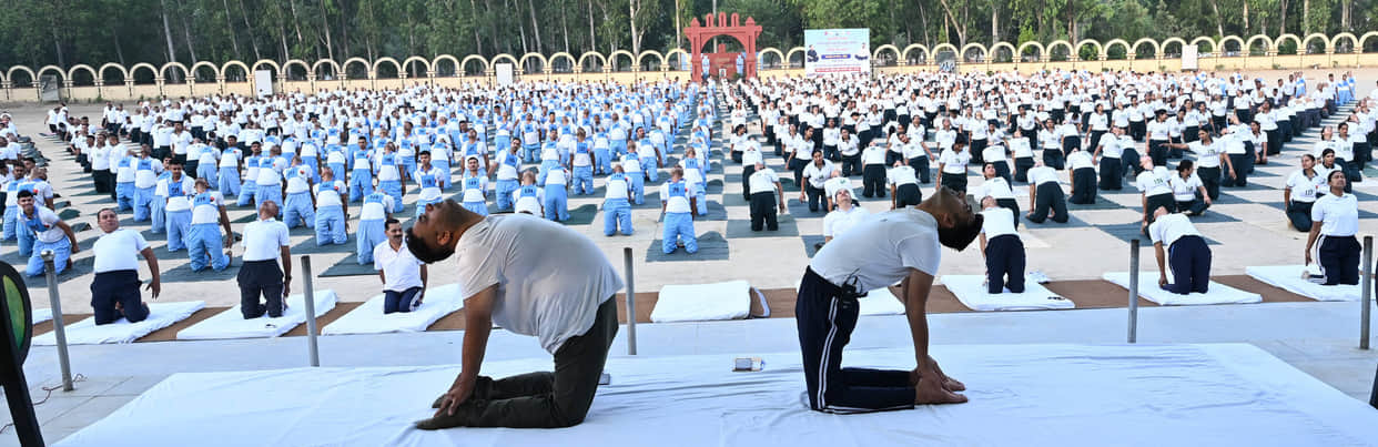 1500 participants performed yoga.