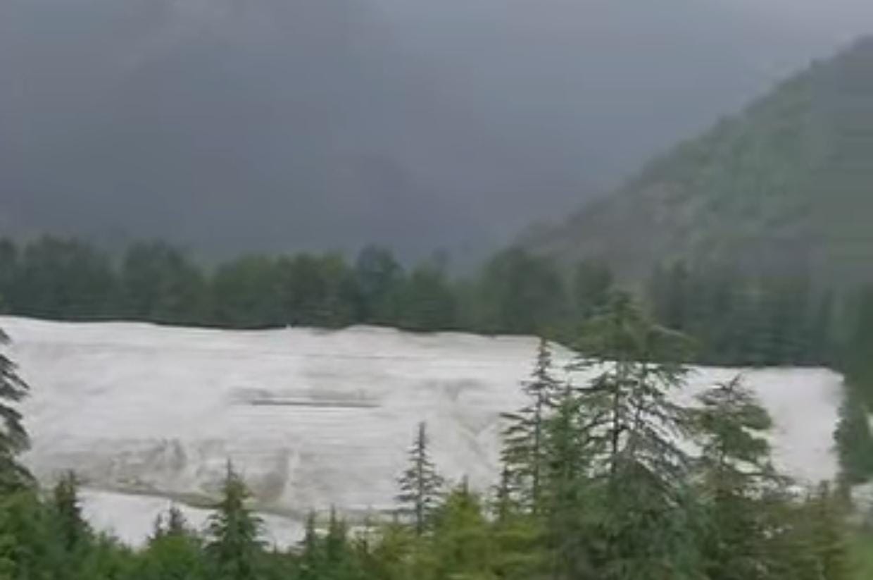 Crops and vegetables destroyed by hailstorm