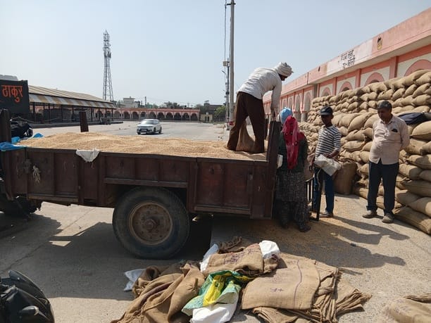 Wheat production plummets, markets deserted, farmers empty-handed