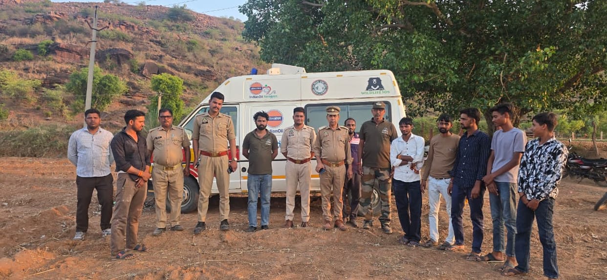 The Forest Department claims there is no leopard in Jagner's Richoha; a 24-hour combing operation confirmed the presence of a small wild animal.