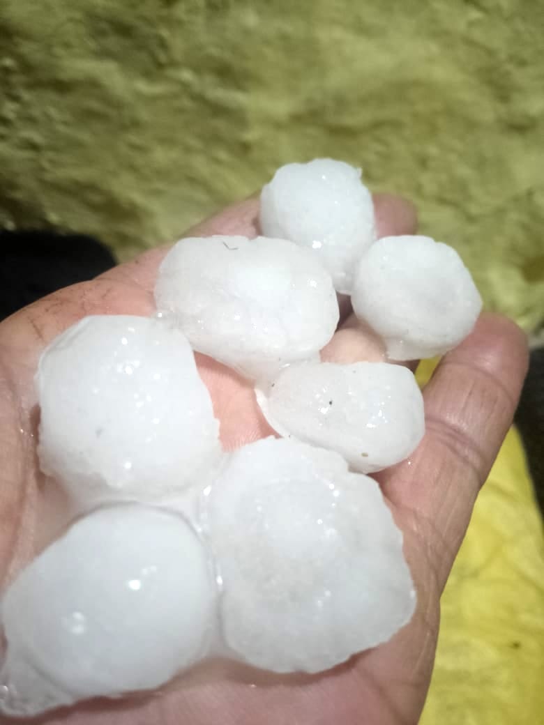 Heavy Hailstorm in Four Panchayats of Banjar; Crops Damaged
