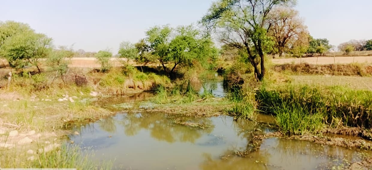 Mohan River will be improved with an investment of Rs 1.33 crore, irrigation crisis will be resolved.Mohan River will be improved with an investment of Rs 1.33 crore, irrigation crisis will be resolved.