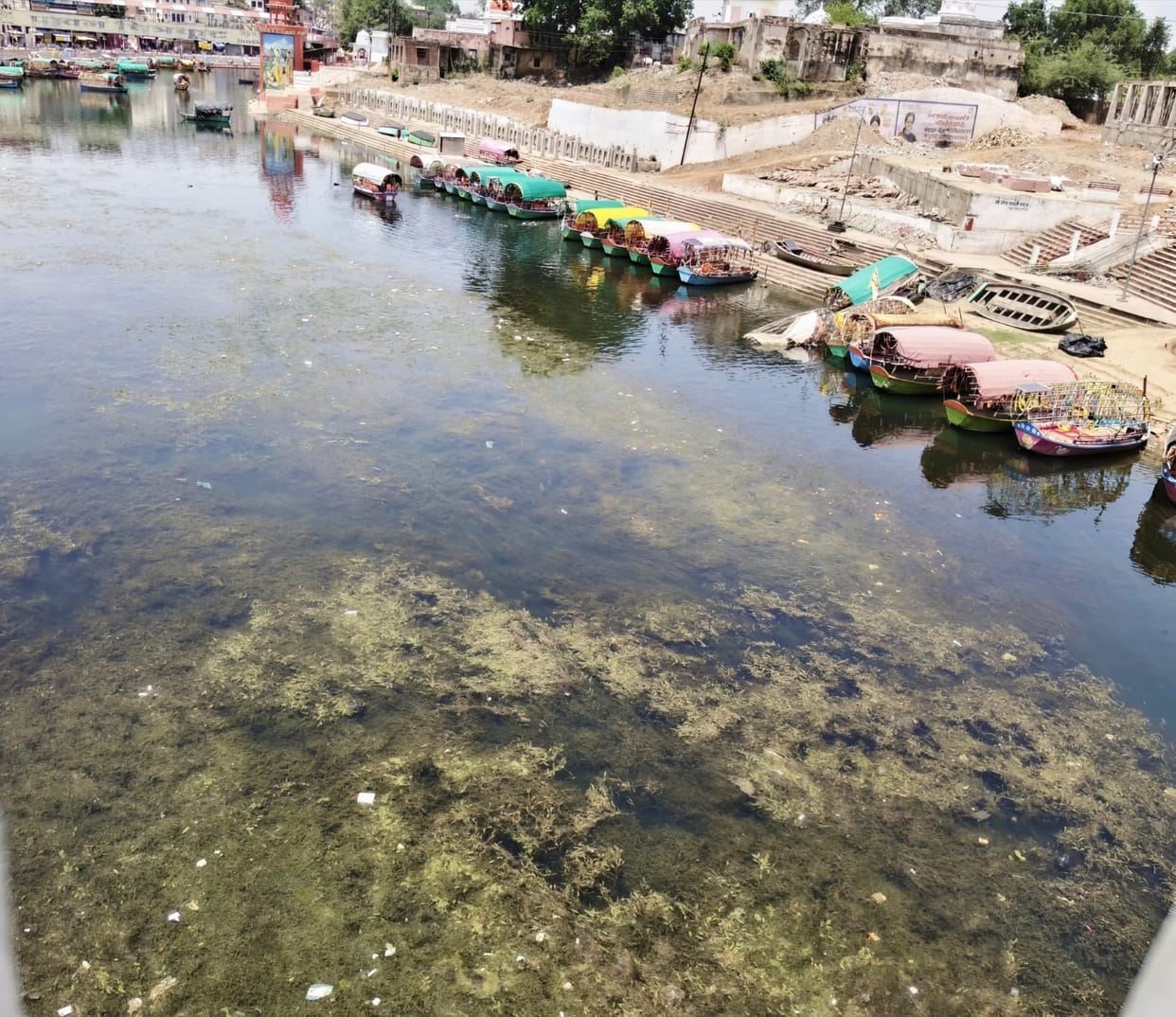 Mandakini covered in a sheet of algae, polluted water