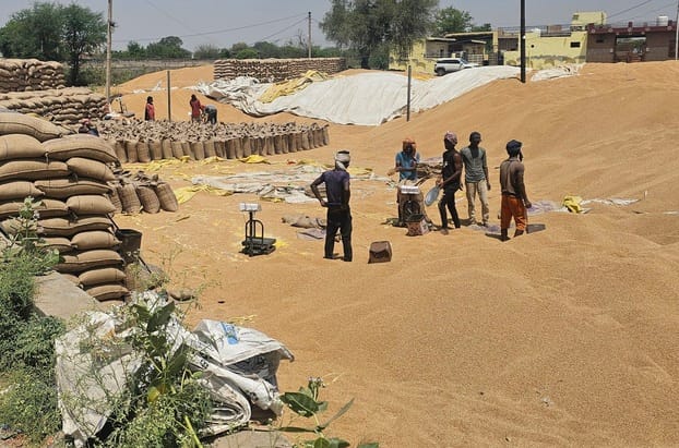 The arrival of grain has stopped in the grain market for three days.