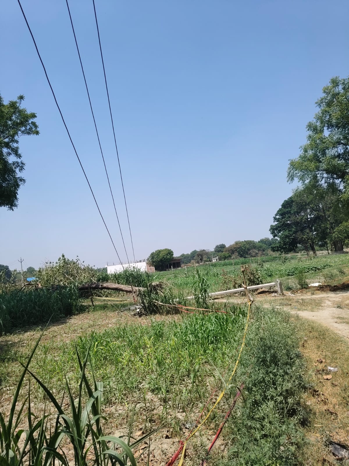 Electricity pole broken in storm, village plunged into darkness