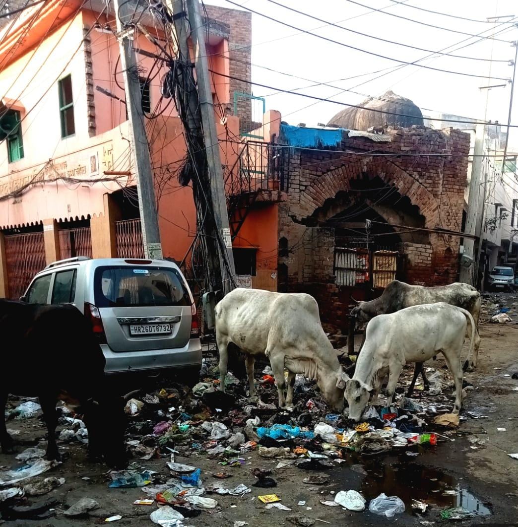 Choking breath, roads groaning under the weight of garbage
