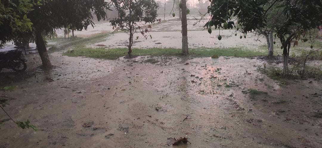 The district recorded the highest rainfall in 24 hours, with 23 mm of rain falling.