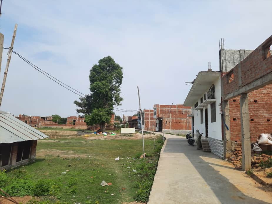 Electricity supply is being done with the help of bamboo poles, fear of accident