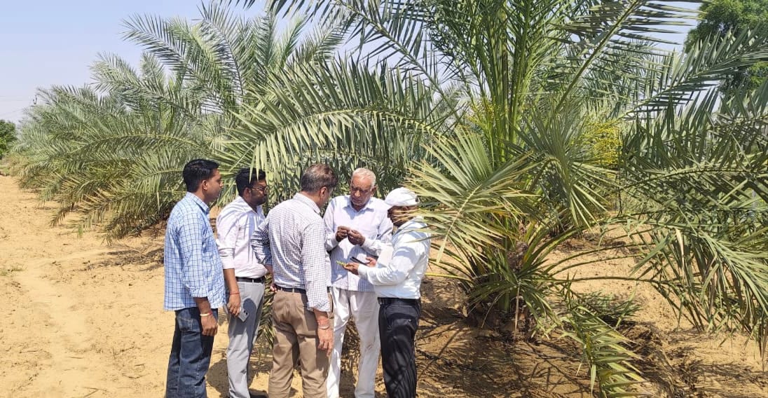 Farmers should immediately remove native shoots from citrus plants: Dr. Prem Kumar.