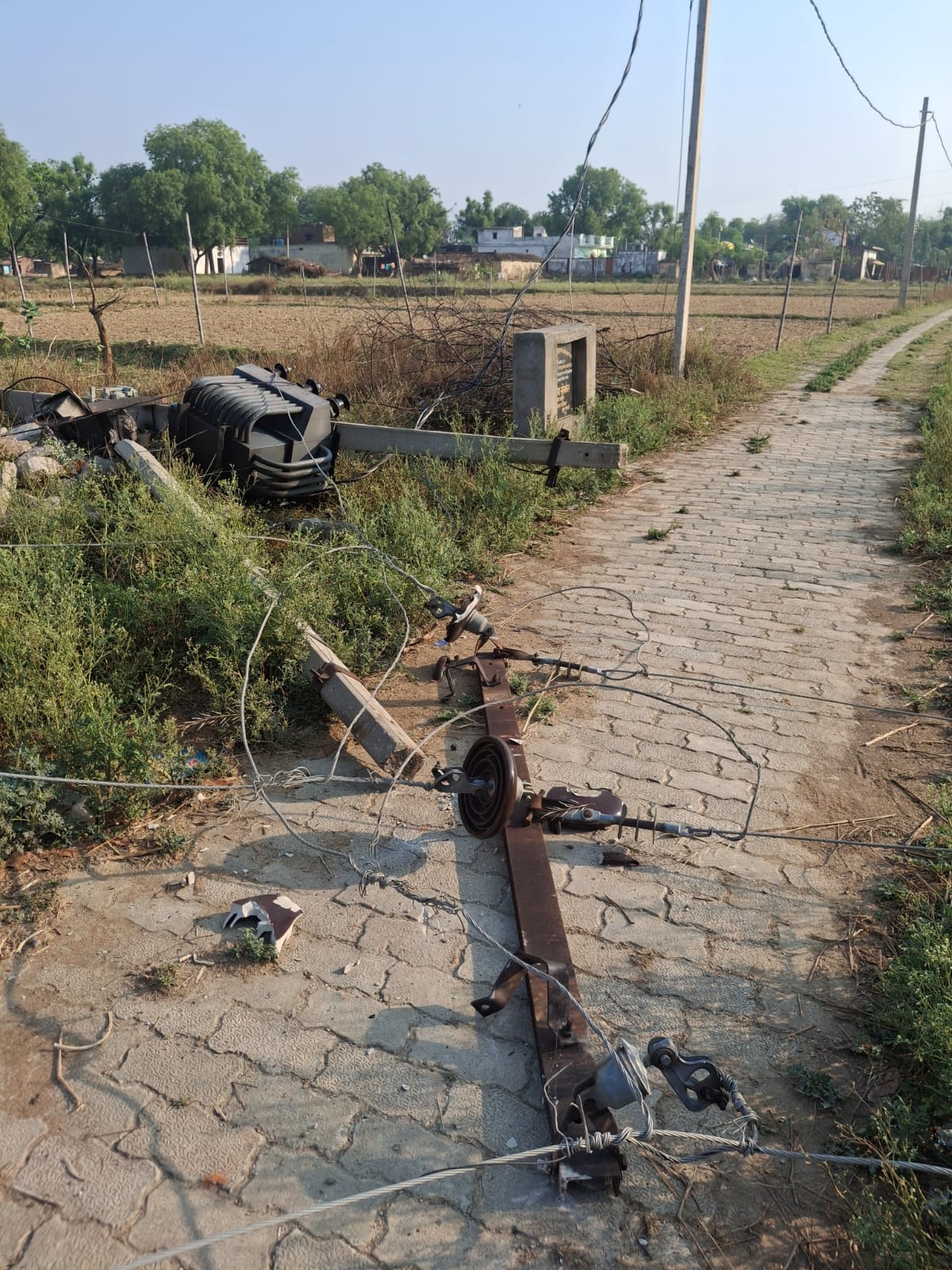 Electric poles and transformers were damaged due to falling Mahua branches