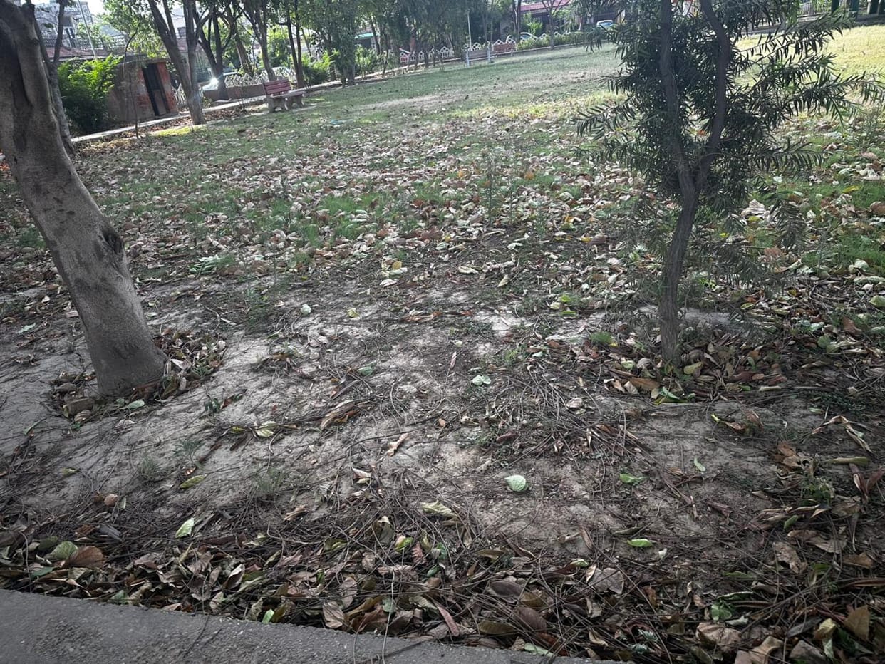 People are upset with the poor condition of parks