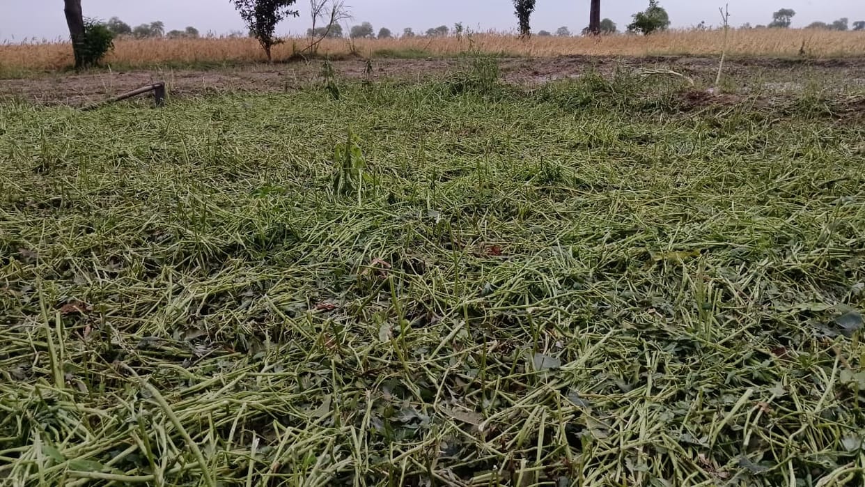 Delay in verification stalls farmers' compensation, expected to be released on Monday