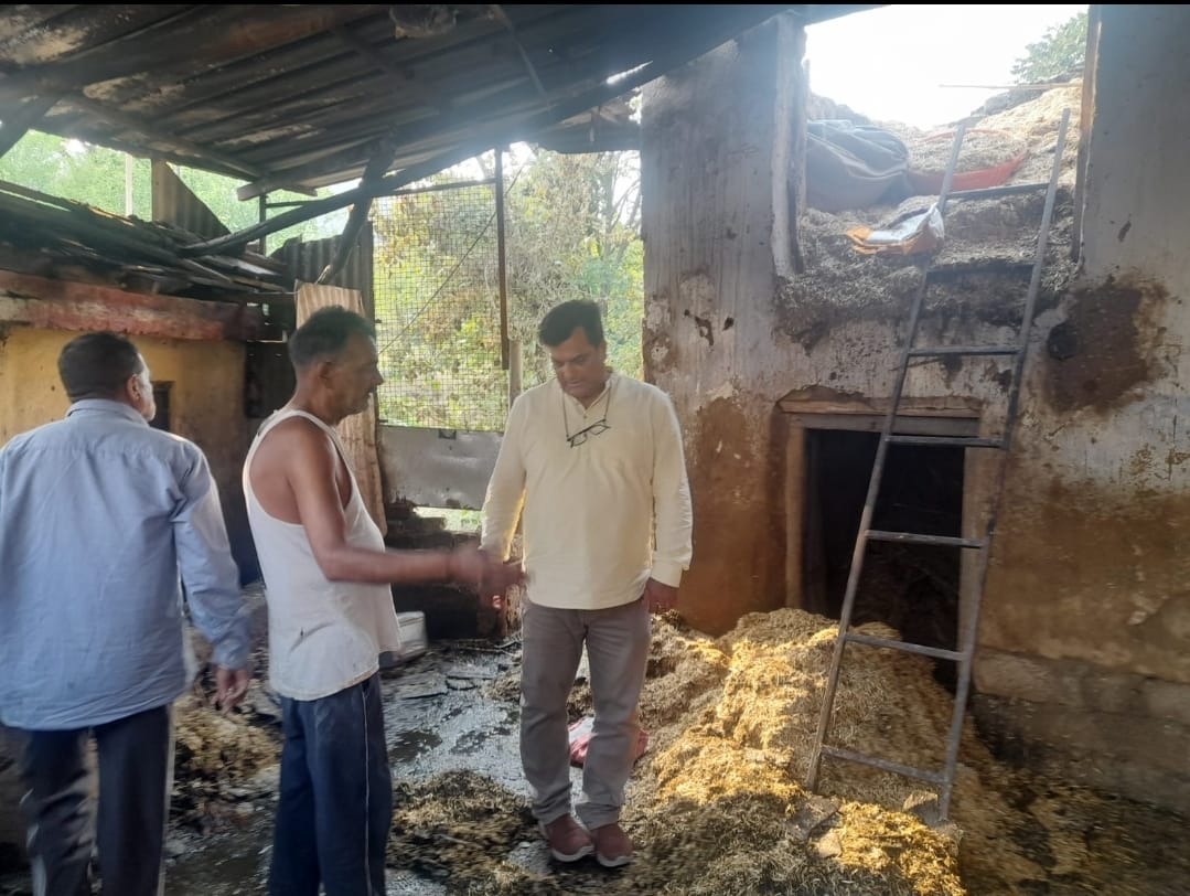 Cattle shed and kitchen burnt to ashes in Jharedi village of Bajuri