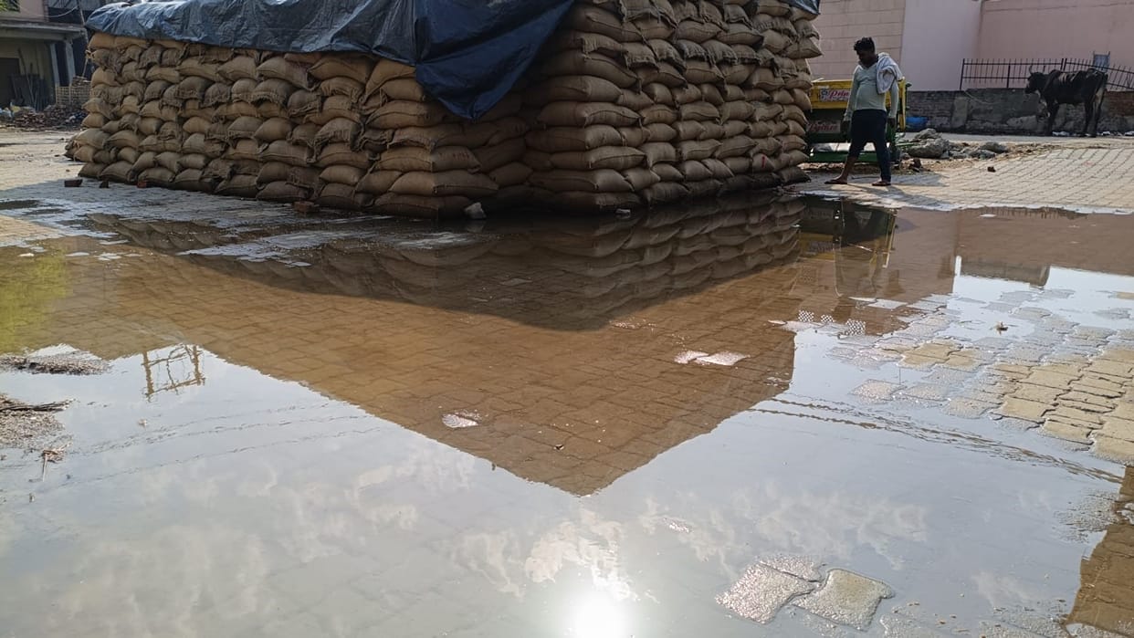Government Wheat Soaked in Rain; Lapses Exposed at Sikandrabad Procurement Center