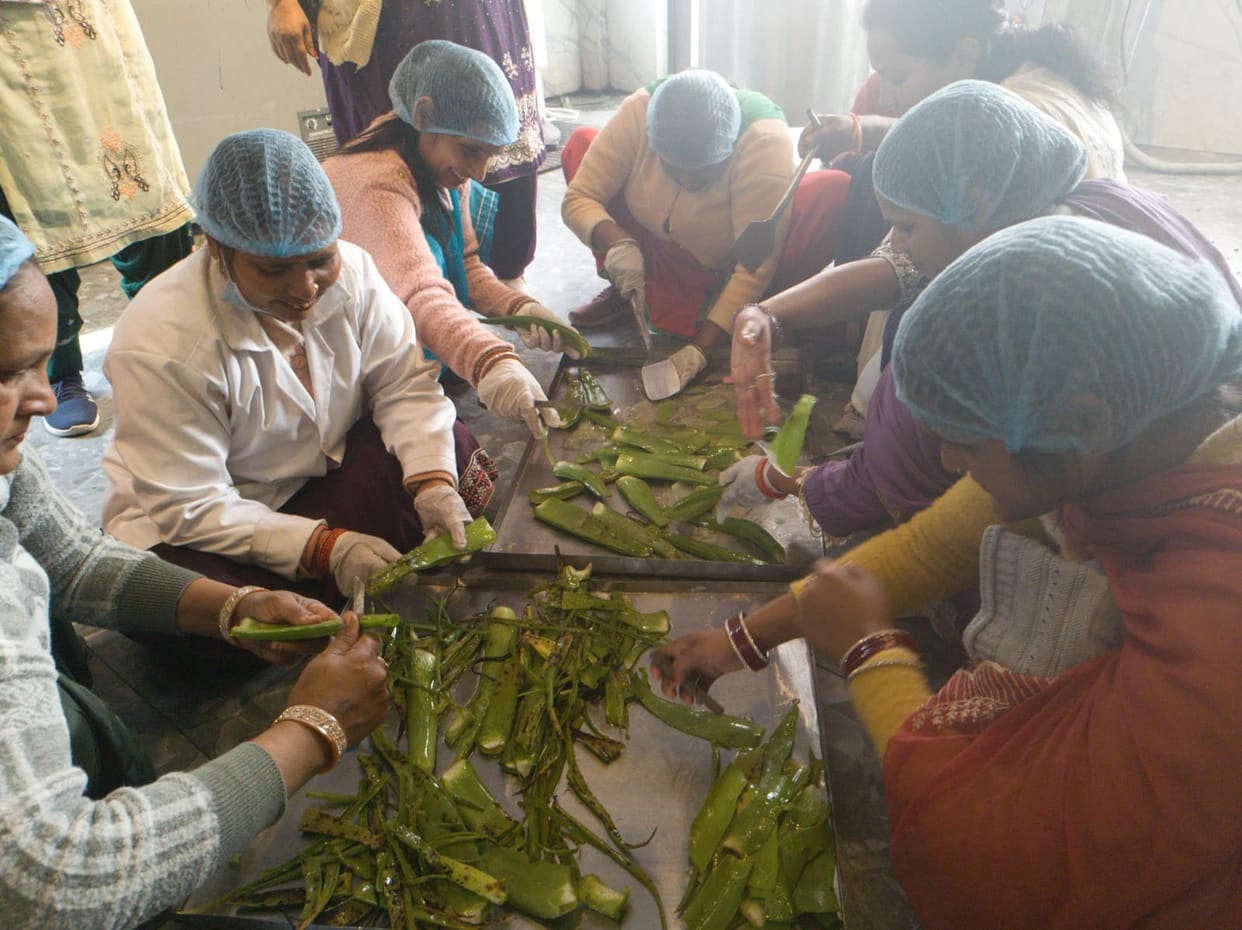 Women Are Becoming Self-Reliant; Many Are Becoming 'Lakhpati Didis'
