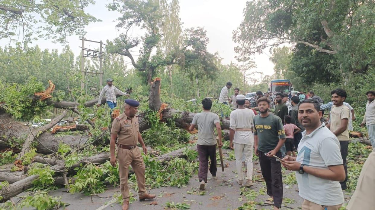 Semal tree falls on highway; traffic disrupted for hours