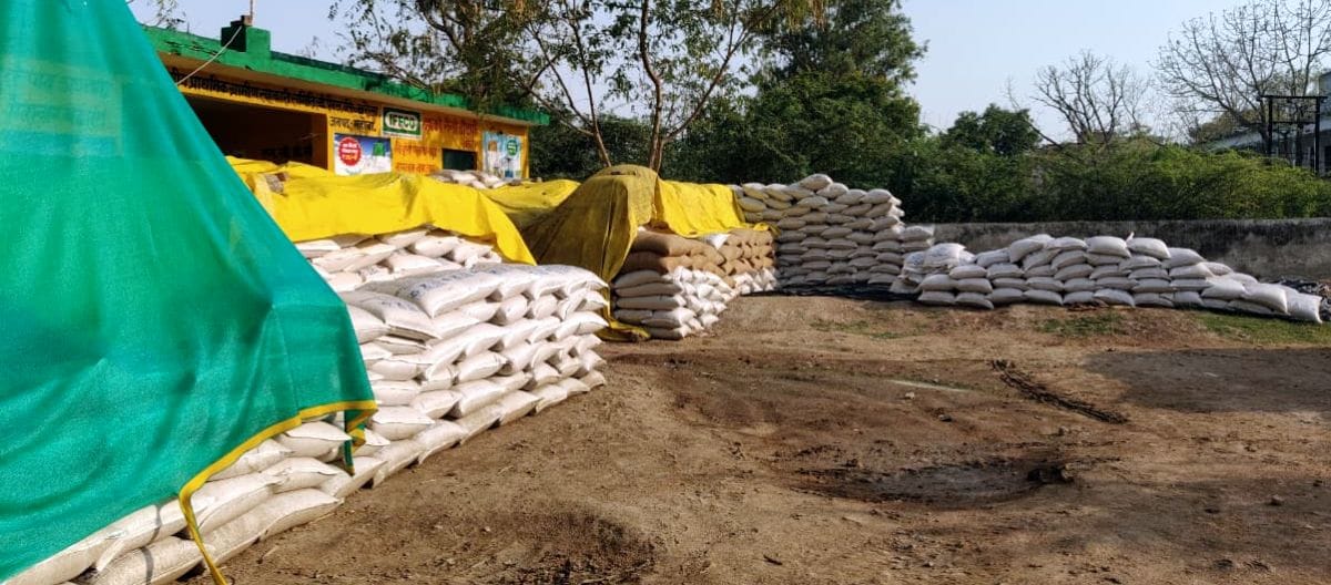 Warehouses full, wheat stored in the open, procurement stalled in most centers