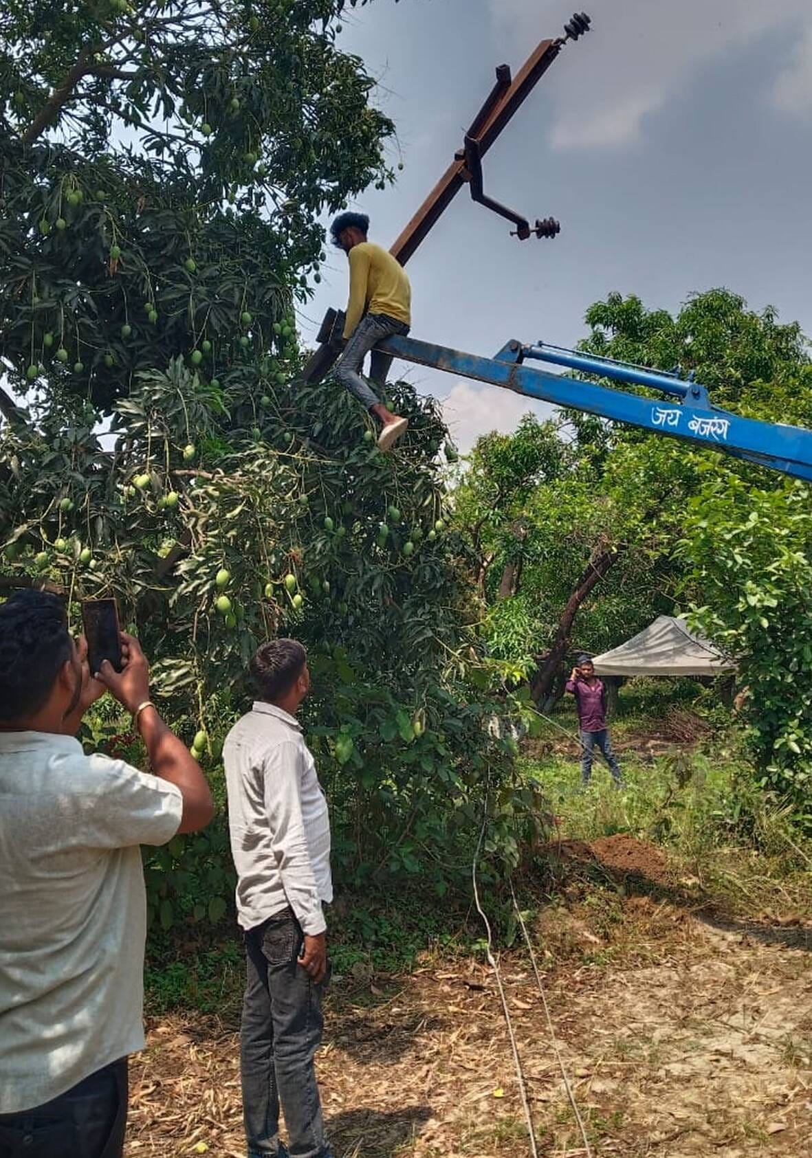 Lack of poles stalls power supply in 80 villages