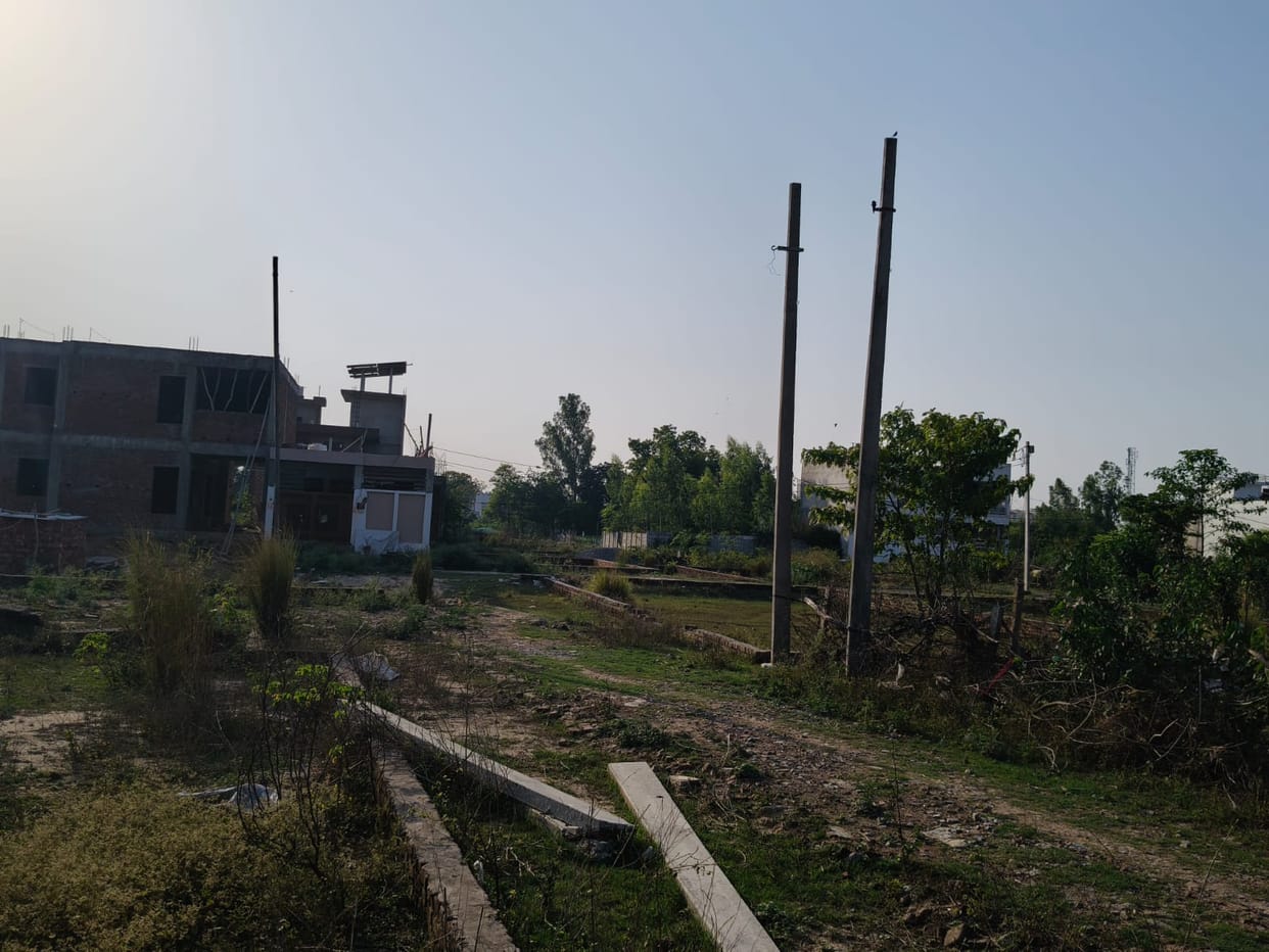 Electricity lines were laid illegally, and the department remained unaware.