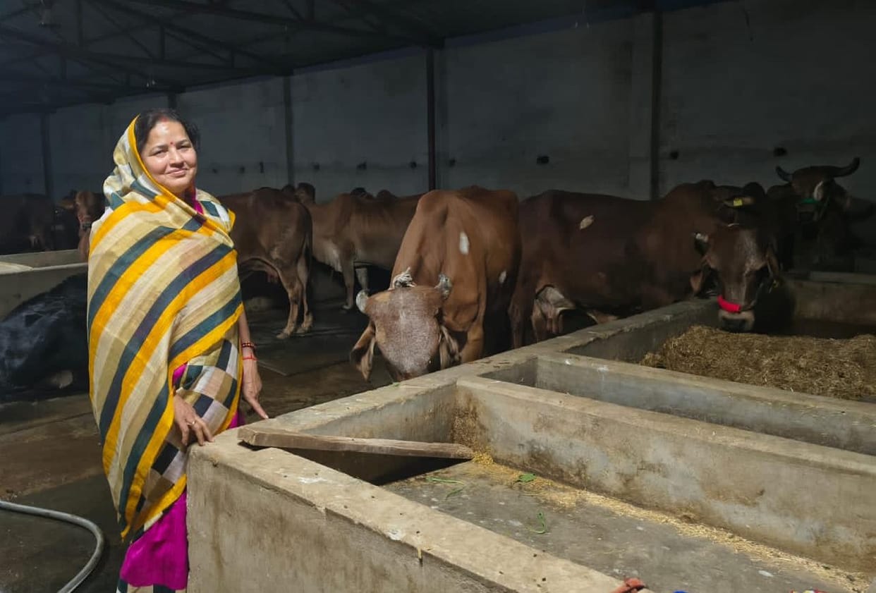 Neither age limits her passion, nor does Lakhpati Didi sell 300 litres of milk daily.