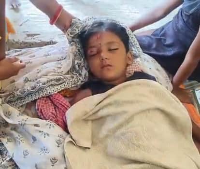 A wild fox preyed on three-month-old innocent children in Pakur, killing them on the spot.