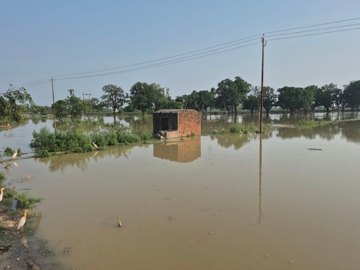 Canal breach floods 300 bighas of farmland.
