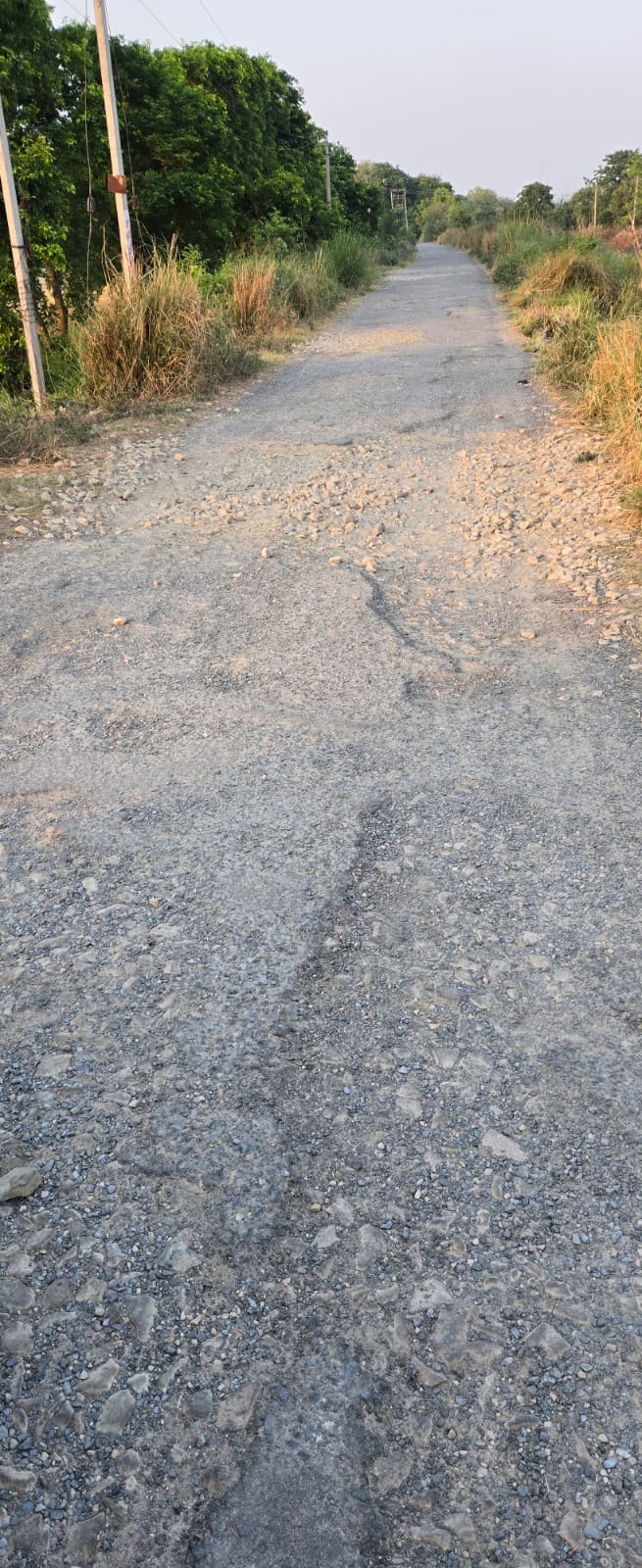 The road built five years ago is dilapidated, demand for construction