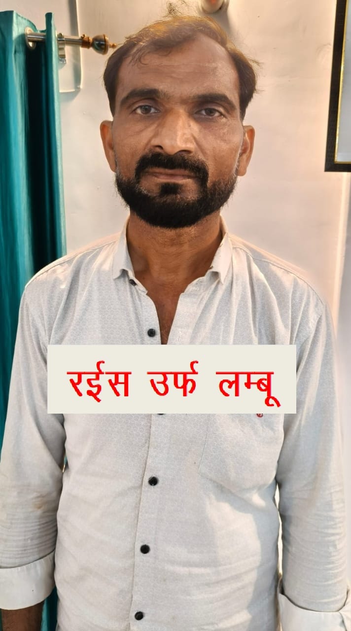 STF arrested gangster Lambu, who had a reward of Rs 50,000 on his head.