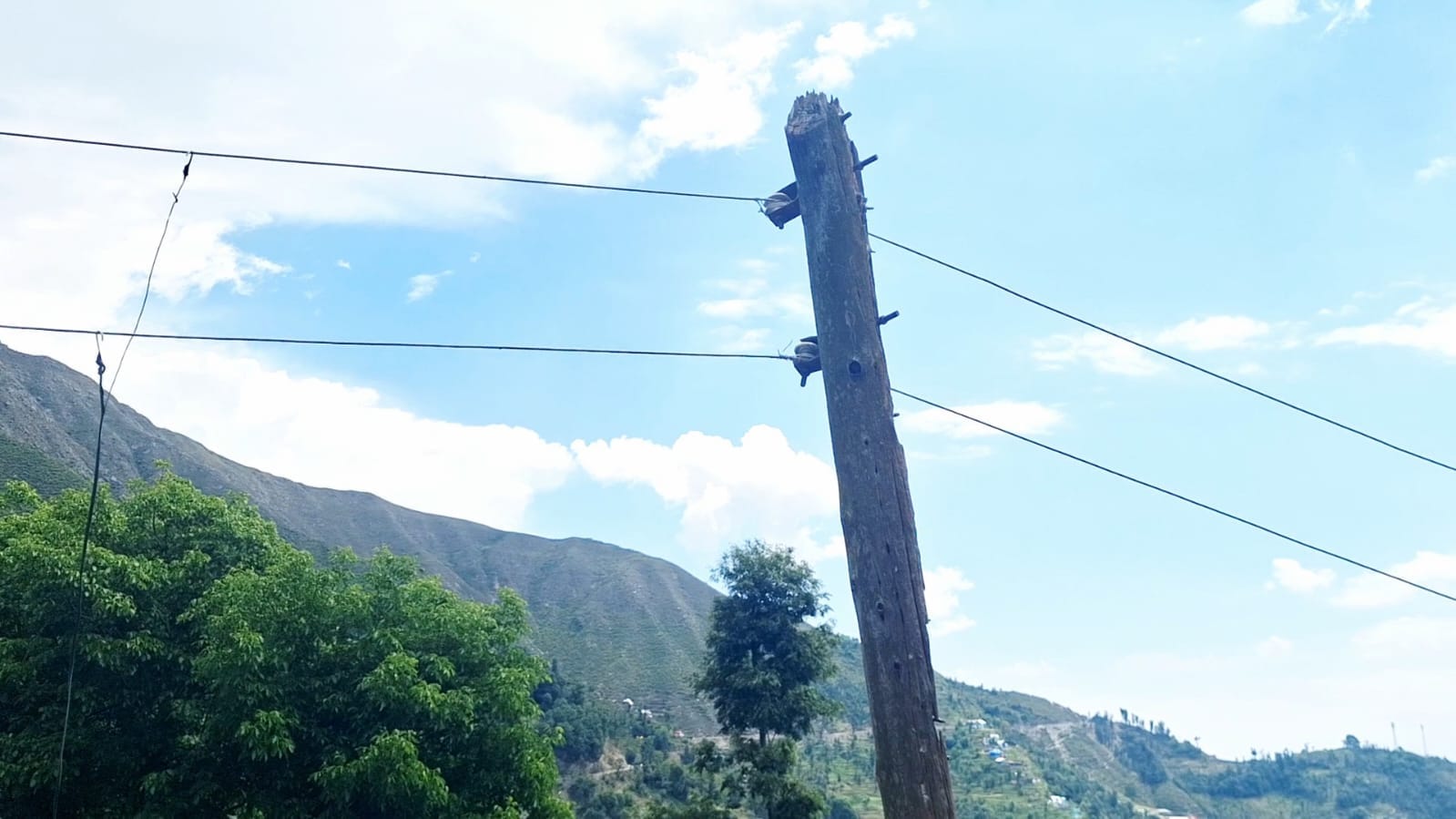 डुग्गन इलाके में लकड़ी के जुगाड़ खंभों से टंगे बिजली के तार संवाद