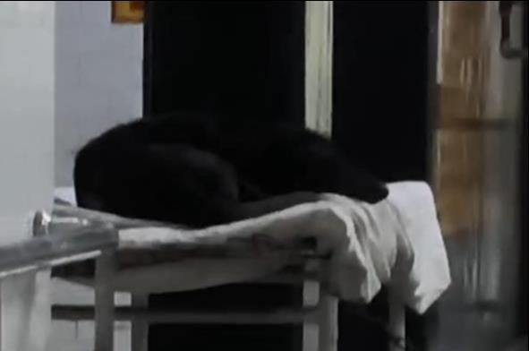 Dog found sleeping on stretcher, video goes viral